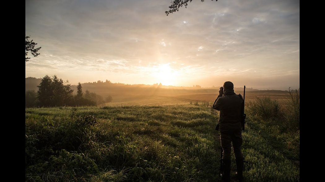 Roebuck hunting in Poland 2016