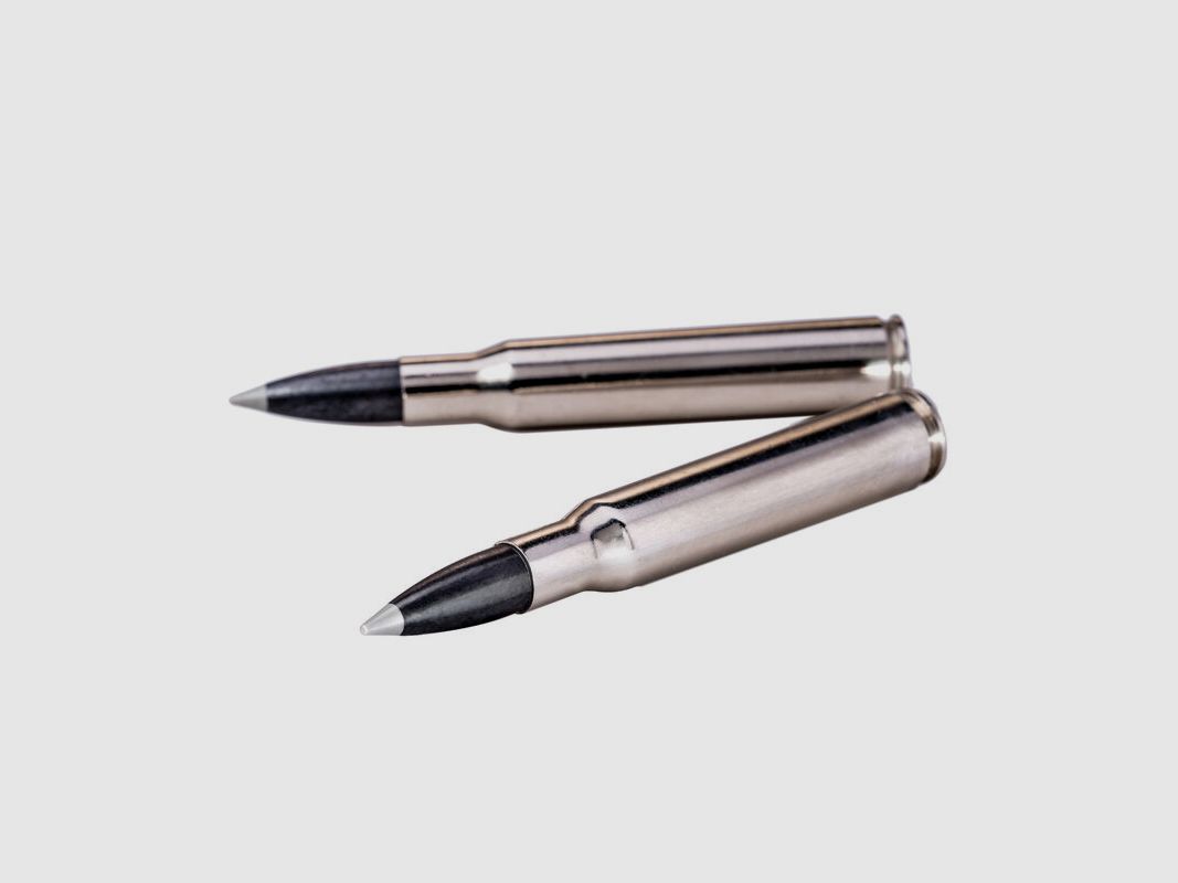 Winchester Ballistic Silvertip 55grs - 20 pcs.