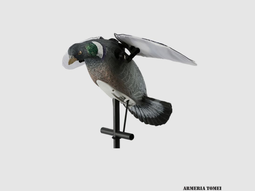 STAMPO – LUCKY DUCK – PIGEON HD ALI BATTENTI
