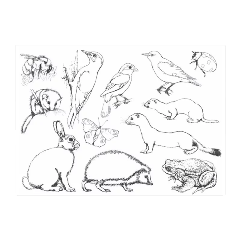 Malbuch 1 "Wir malen - was lebt in Wald und Flur", Bild 3 von 3