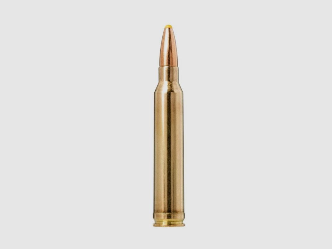 Norma Plastic Point Geschosse 180 gr – Kaliber .300 Win Mag, Bild 2 von 3