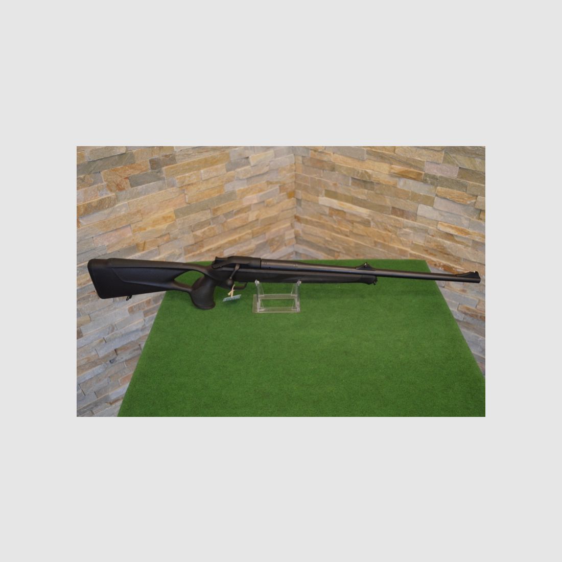 Blaser R8 Professional Success