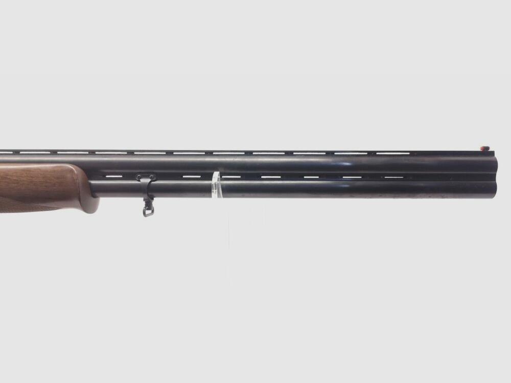 Rizzini AT 605