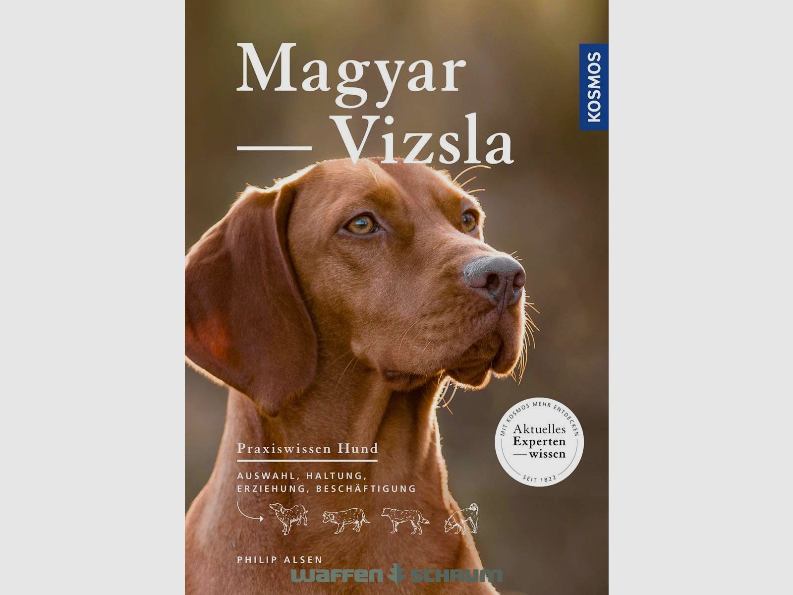 Kosmos Magyar Vizsla Philip Alsen