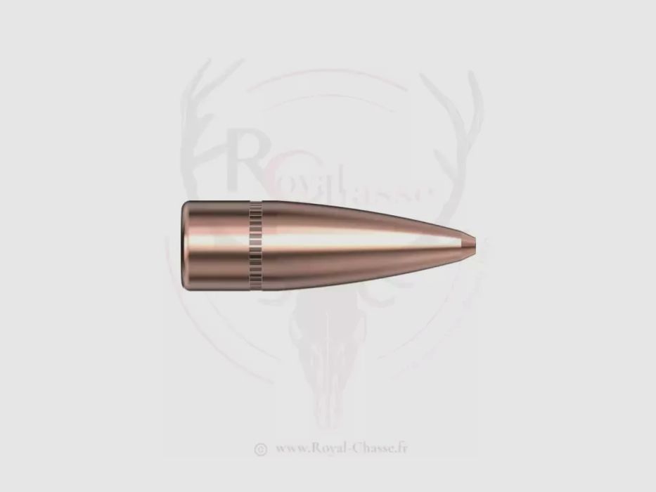 100 kogels Kal.30 D.308 125Grs HP HORNADY