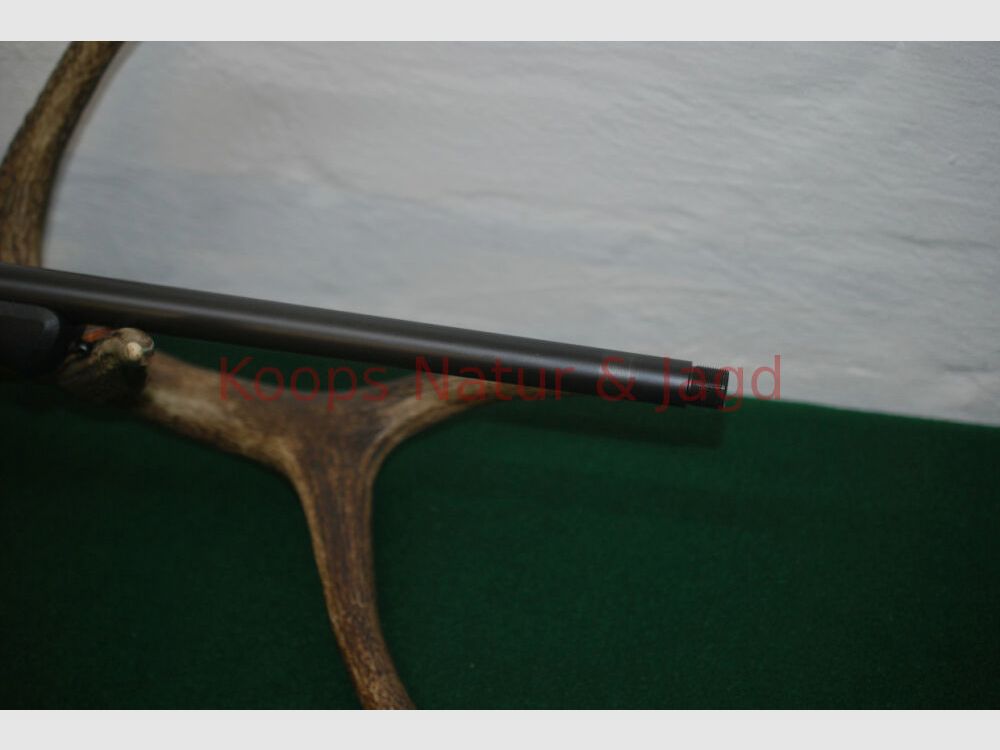 Blaser R8 Professional Success