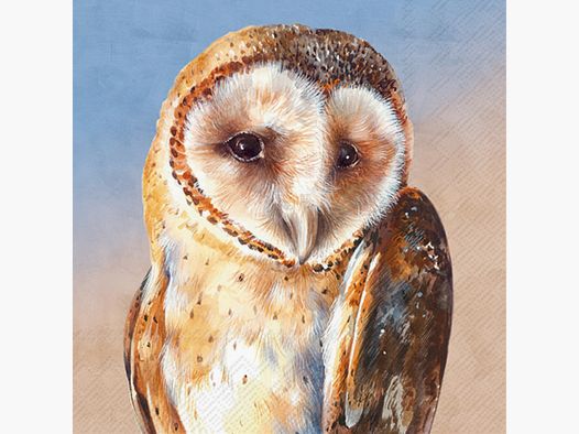 YOUR Cocktail Napkins Owl