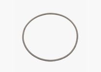 Hornady case retaining spring for L-n-L AP - single