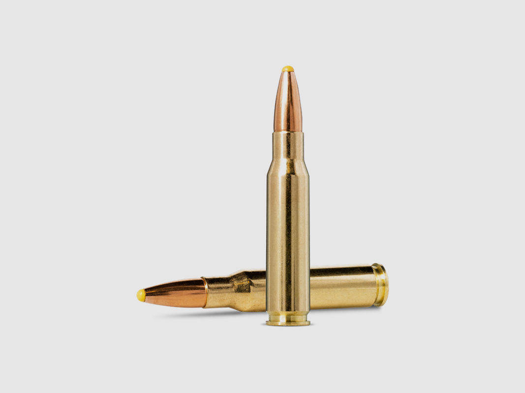Norma Plastic Point ammunition cal. .308 WIN 180gr, image 2 of 3