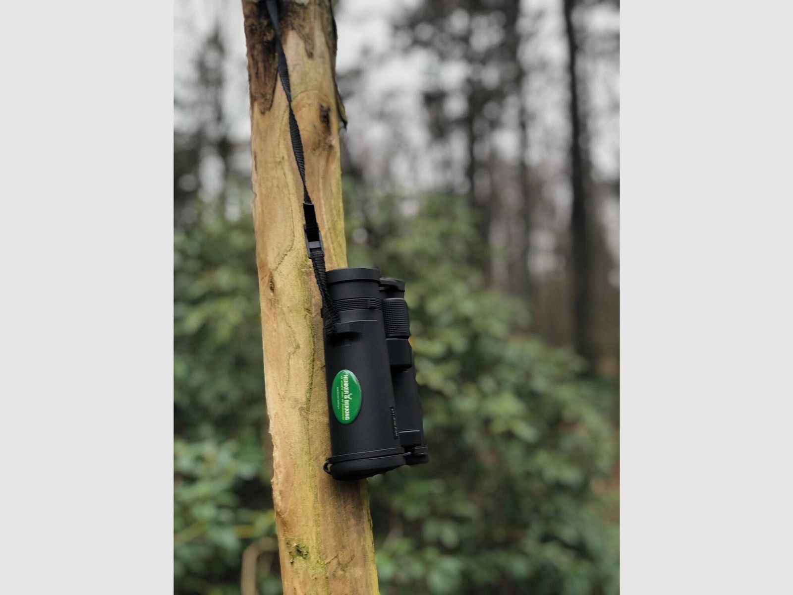 Bynolyt 8x42 Wildschwein HD