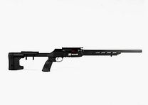 SAVAGE A22 Precision