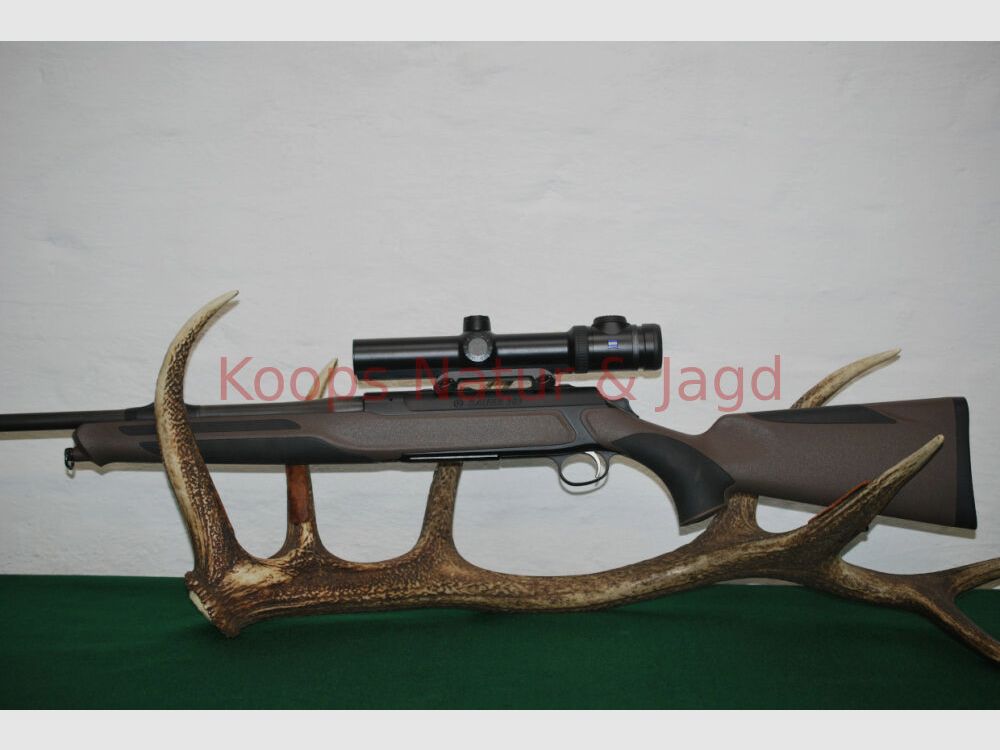 Sauer 303