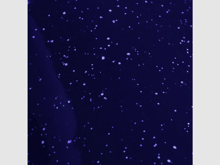 Jarra de café de esmalte 1,2 L Azul