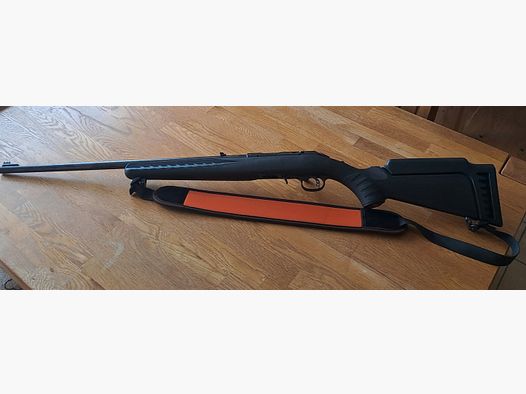 Ruger 17 HMR
