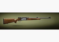 Strasser RS 14 Evolution, RS14,