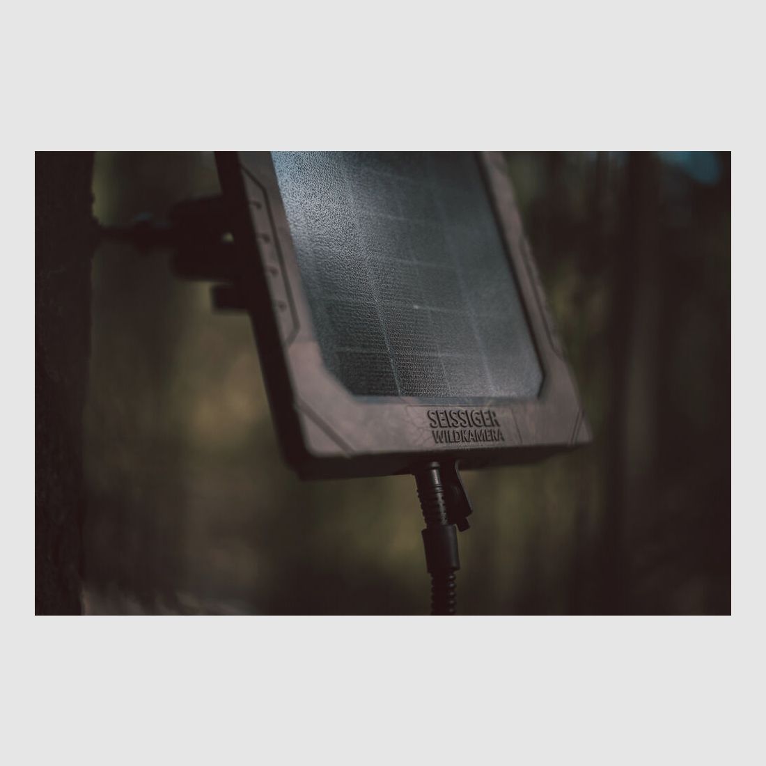 Seissiger Solarpanel für Wildkameras, Bild 1 von 10