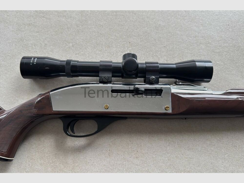 Remington Nylon 66 .22lr