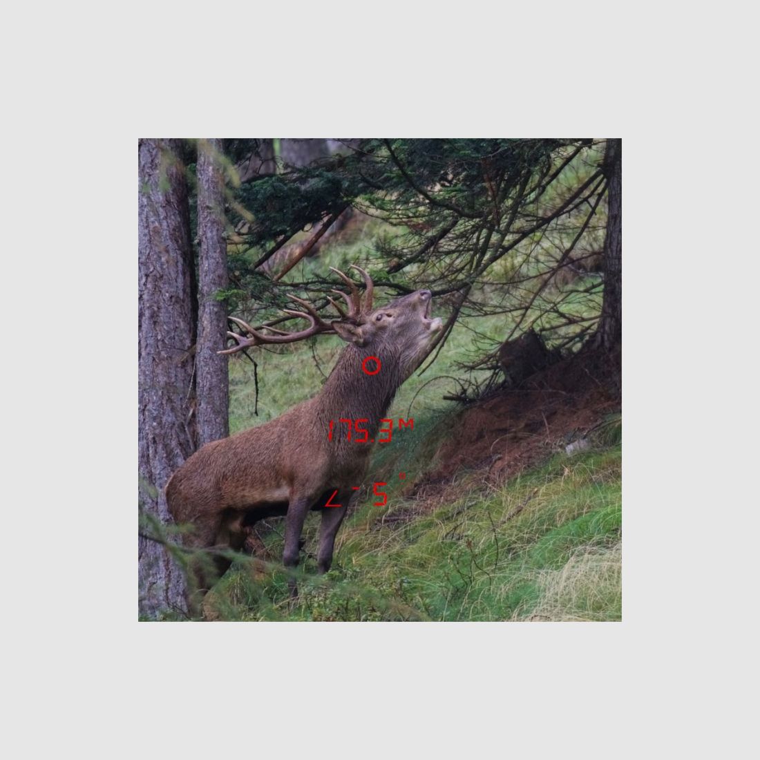 GPO Rangetracker 2000 6x20 OLED, zdjęcie 11 z 14