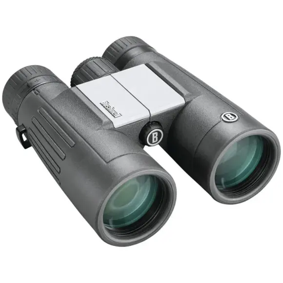 Prismáticos Bushnell Powerview 2 10x42, imagen 1 de 14