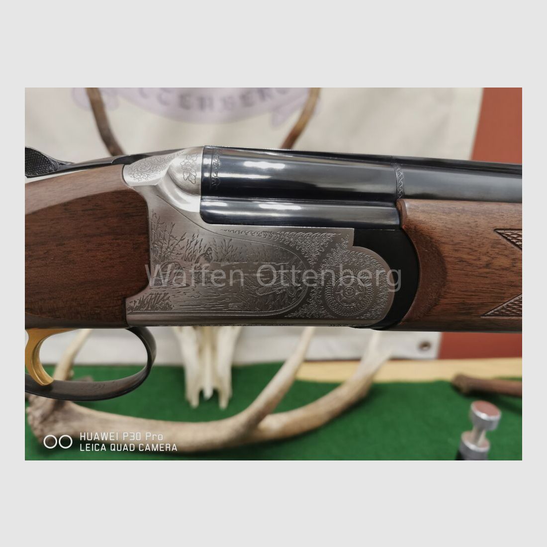 Kettner Campione