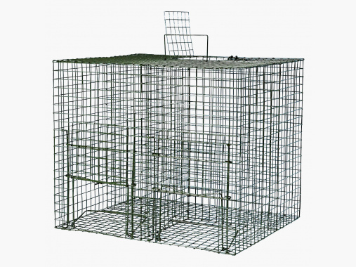 Piège à capture vivante |