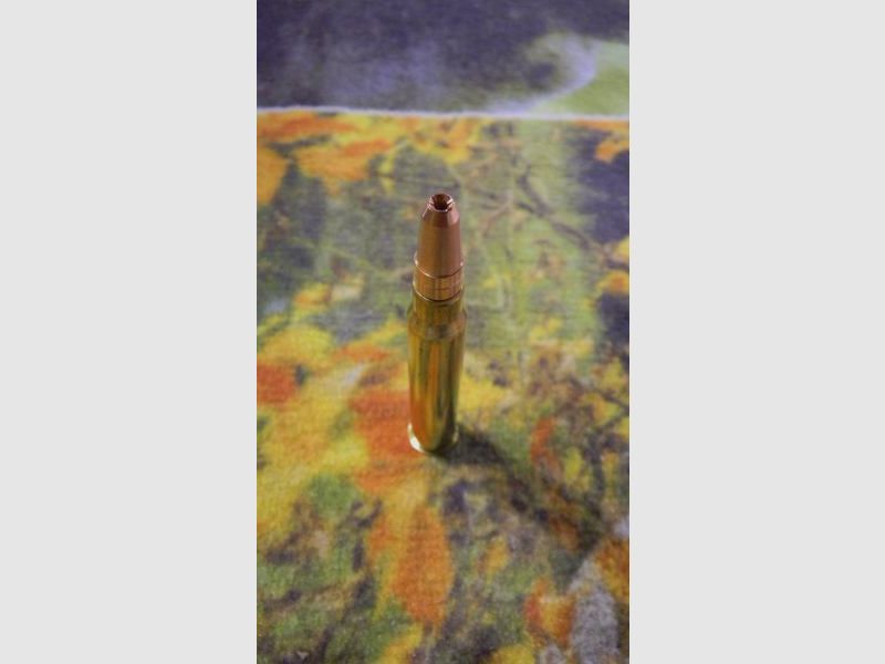 GPA 30R Blaser 180 grains, Bild 3 von 3