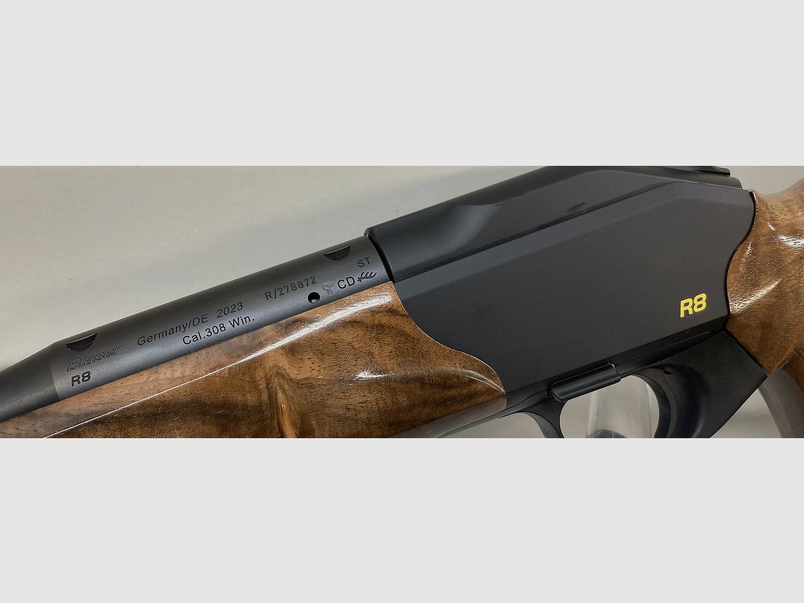 Blaser R8 Success