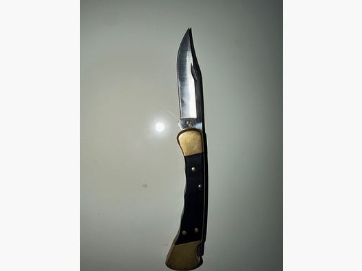 Coltello pieghevole leggendario Buck 110 quasi indistruttibile