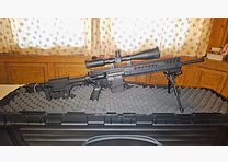 Sig Sauer 716 DMR