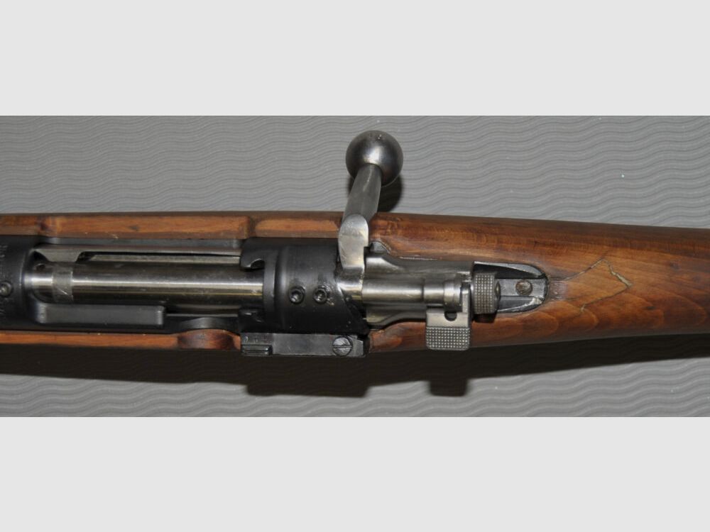Carl Gustafs M 96