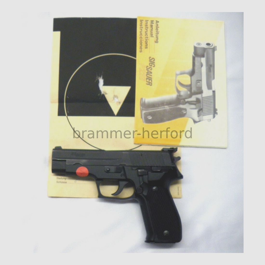Sig Sauer (1) P226