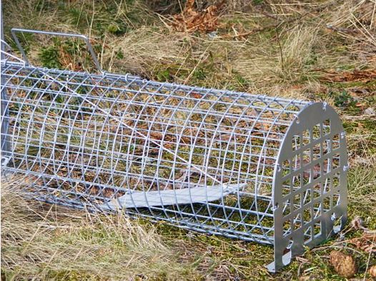 Lotin trampa de piel simple