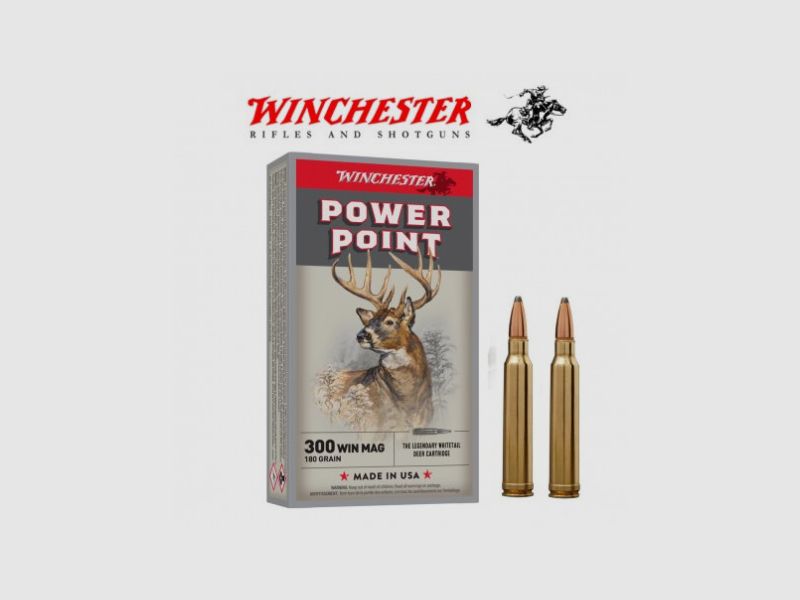 BALA WINCHESTER POWER POINT 300 WIN MAG 180 GRAIN, imagen 1 de 2