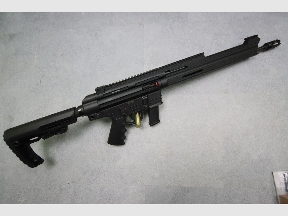 German Sport Guns GSG GSG-9 Sport, image 2 sur 2