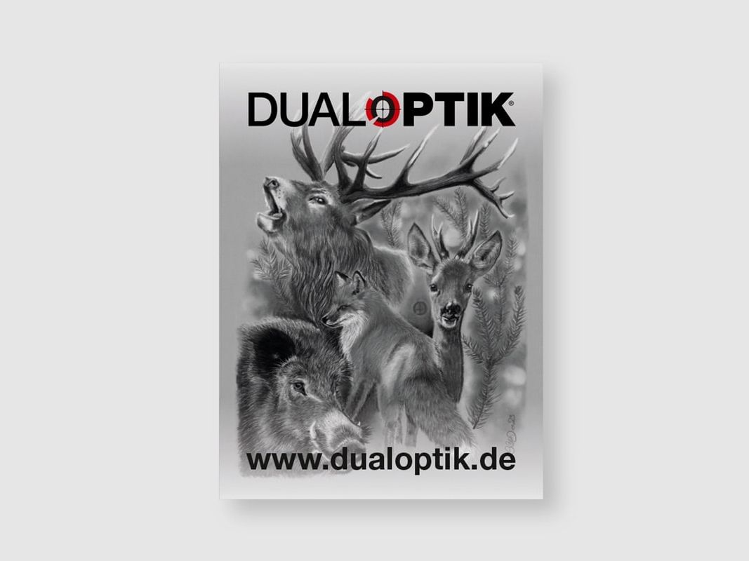 Dual optics magnetic shield