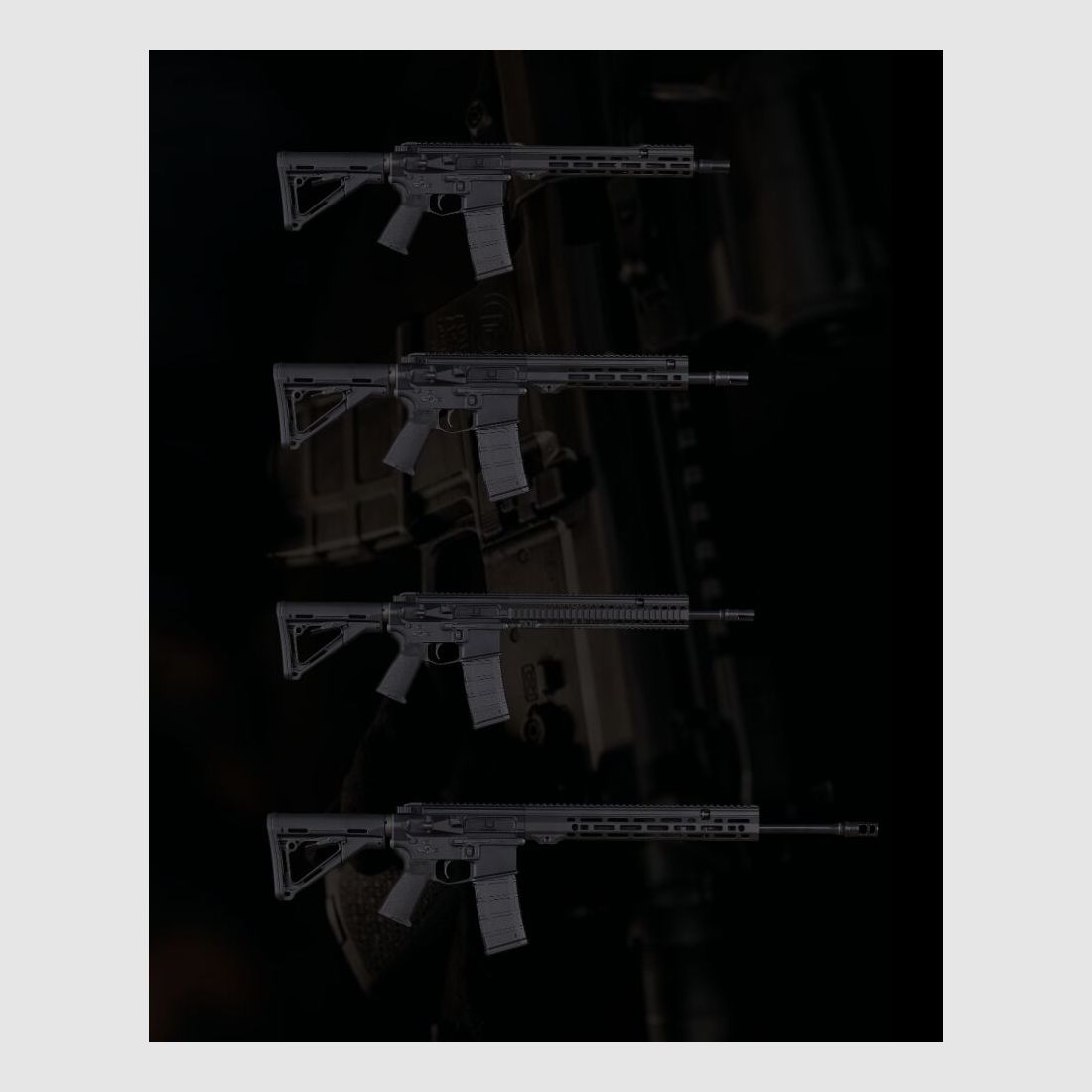 Antreg ARS M4s 6M LW SG, image 3 sur 3