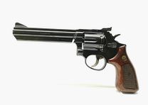 Taurus 669 * 6" Lauf