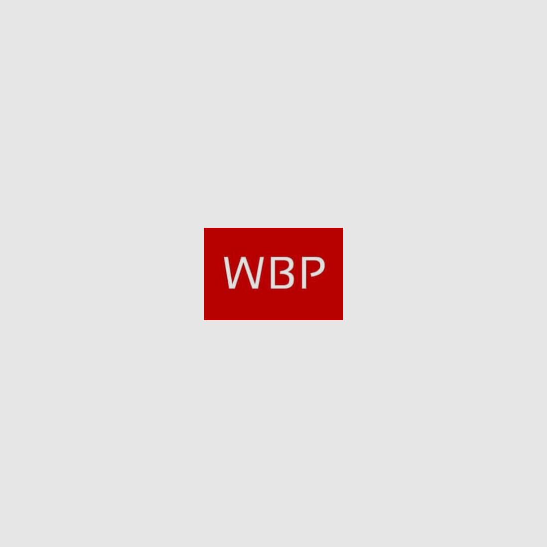 WBP Selbstladebüchse WBP “Jack Tactical” .223 Remington