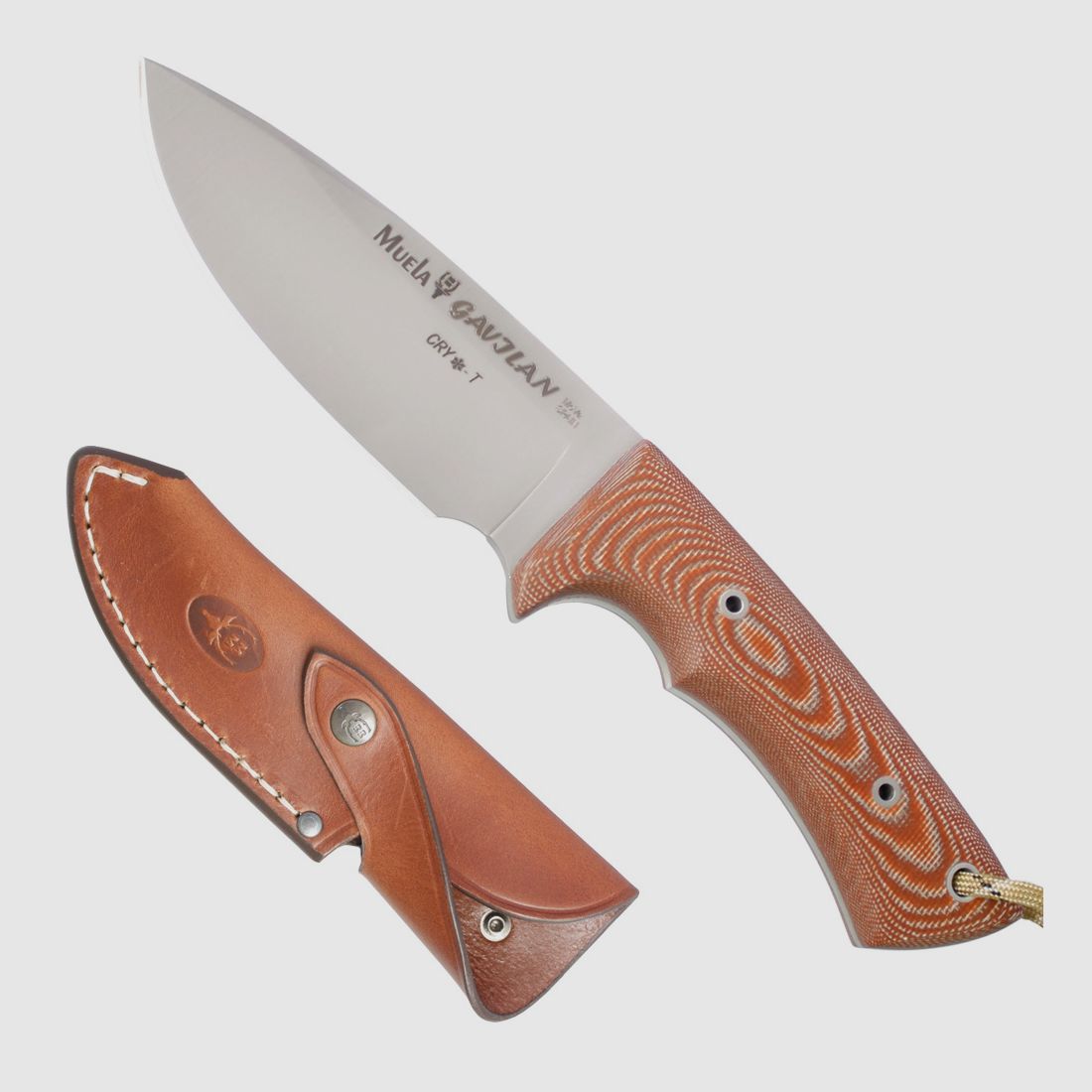 Muela Messer Gavilan braun