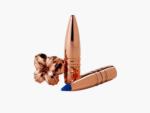 Barnes Bullets .323 10,4g/160grs. TTSX