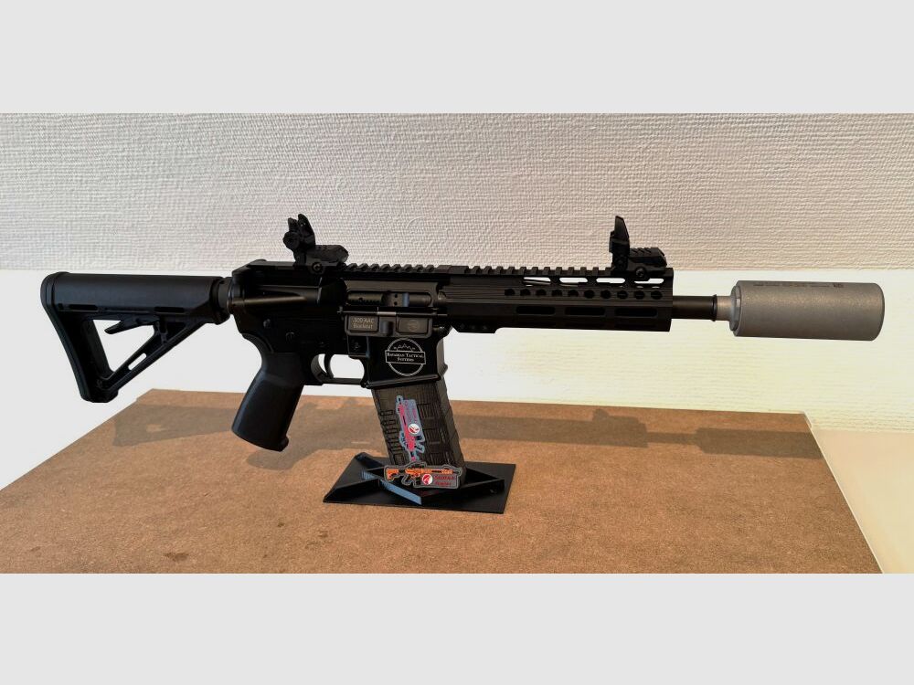 BTS Bavarian Tactical Systems & ASE Utra BTS-15 .300 AAC BLK 9" inkl. SL5i