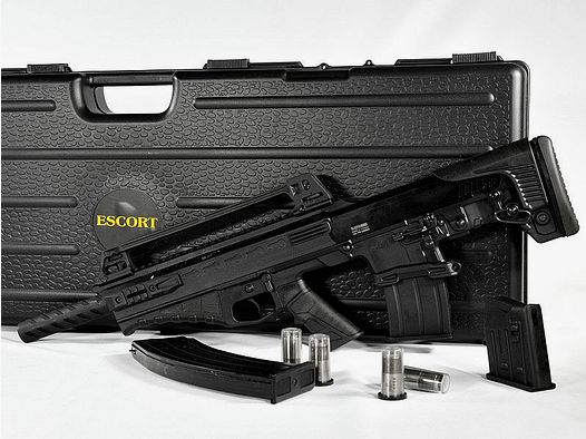 ESCORT BTS 12