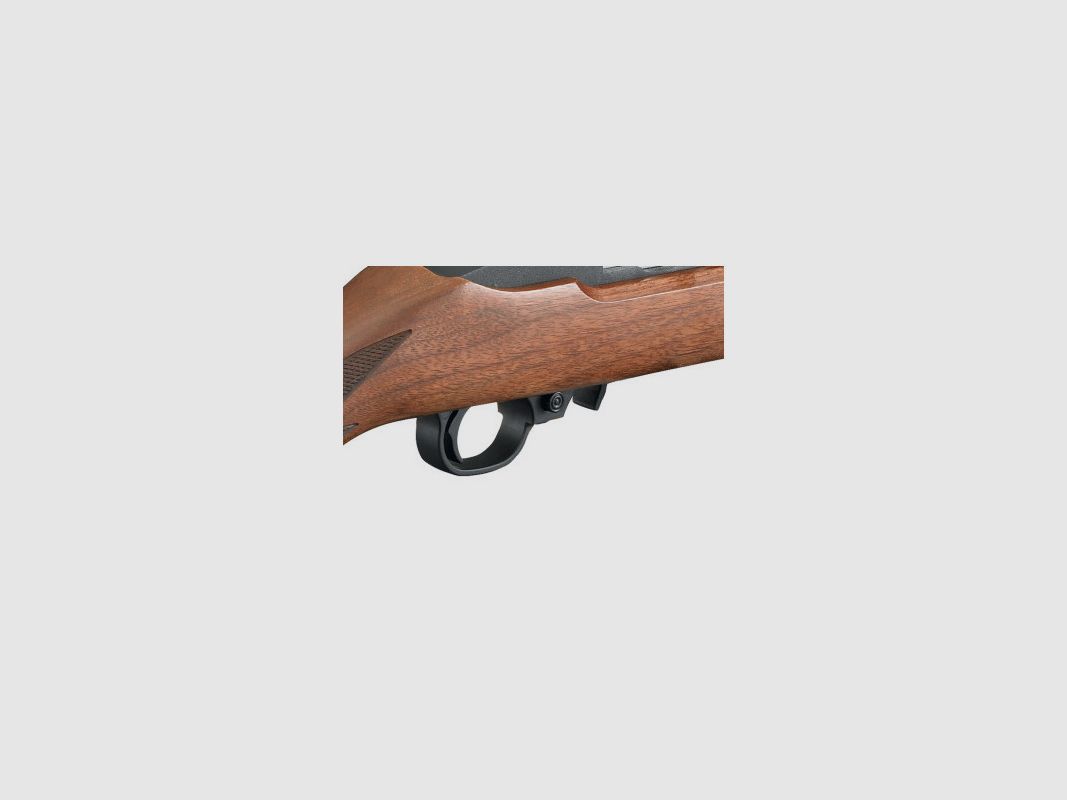 RUGER 10/22 Sporter c/m, image 11 sur 12
