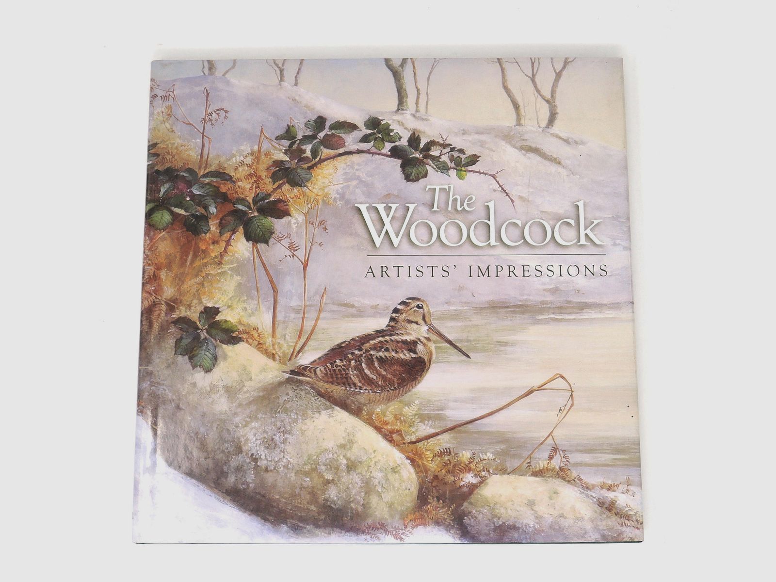 “The Woodcock – Artists’ Impressions” di Simon Gudgeon e Terence Lambert, immagine 1 di 2