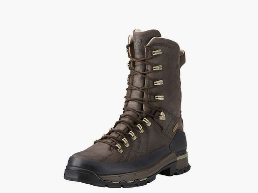 ARIAT CATALYST DEFIANT GTX 10″ 400G MEN’S 10 »