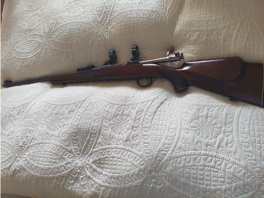 Muro de Suecia M38