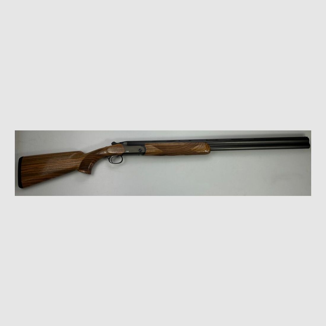 Blaser F16 Game