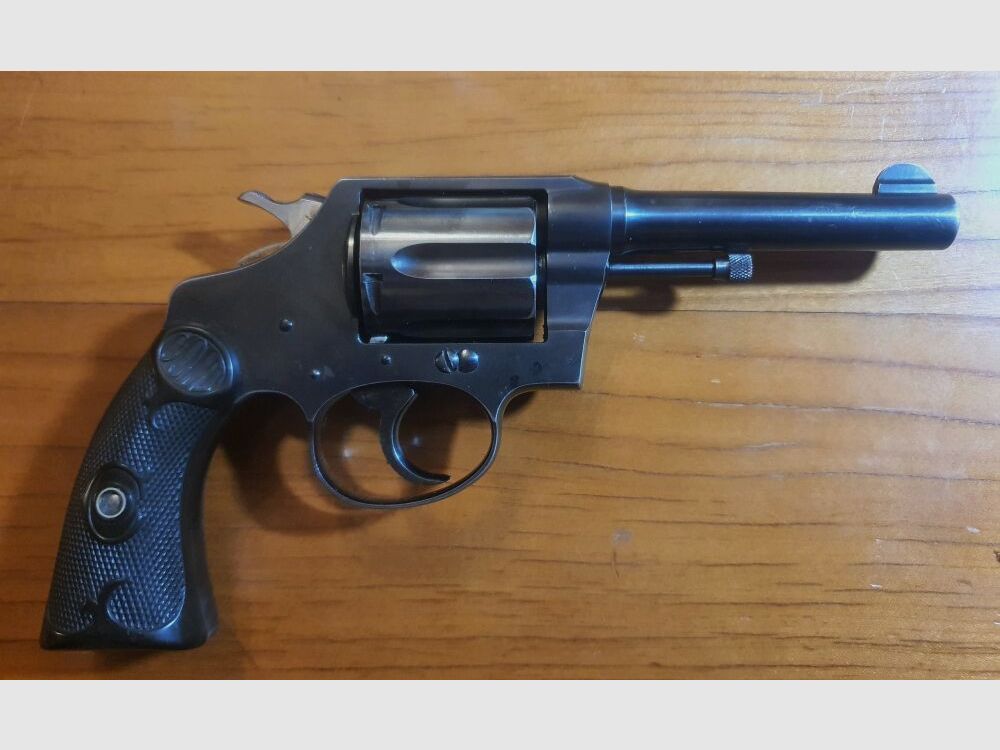 Colt Colt Police Positive