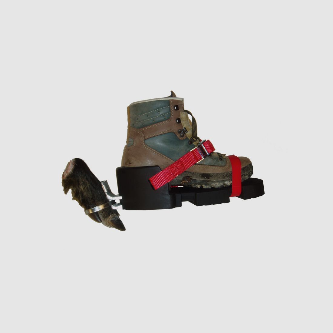 Waidwerk Fährtenschuh Classic