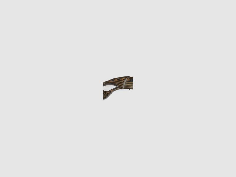 CZ 457 Varmint Thumbhole 22l.R., immagine 5 di 6